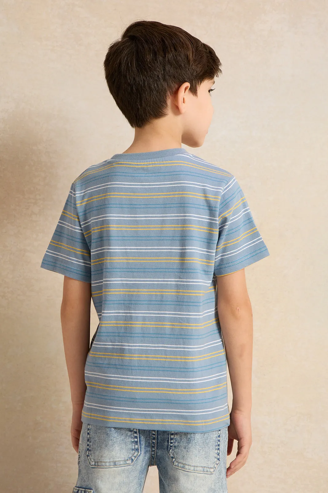 Boys Navy Stripe Short Sleeve T-Shirt
