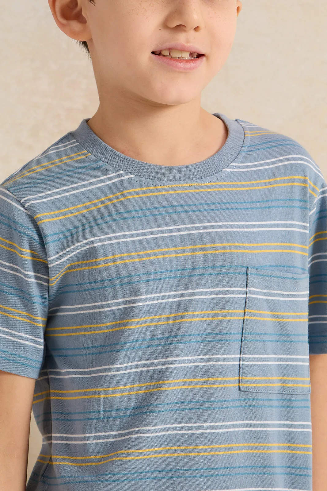 Boys Navy Stripe Short Sleeve T-Shirt